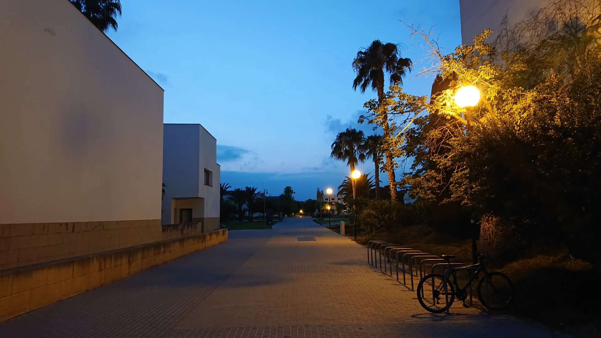 A picture of one of the streets of the Univertsity of Alicante's campus